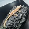 DEADPOOL LINE GARGOYLE GECKO